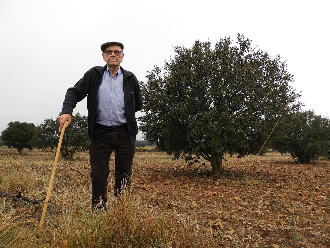 Clemente, une vie dédiée à la truffe
