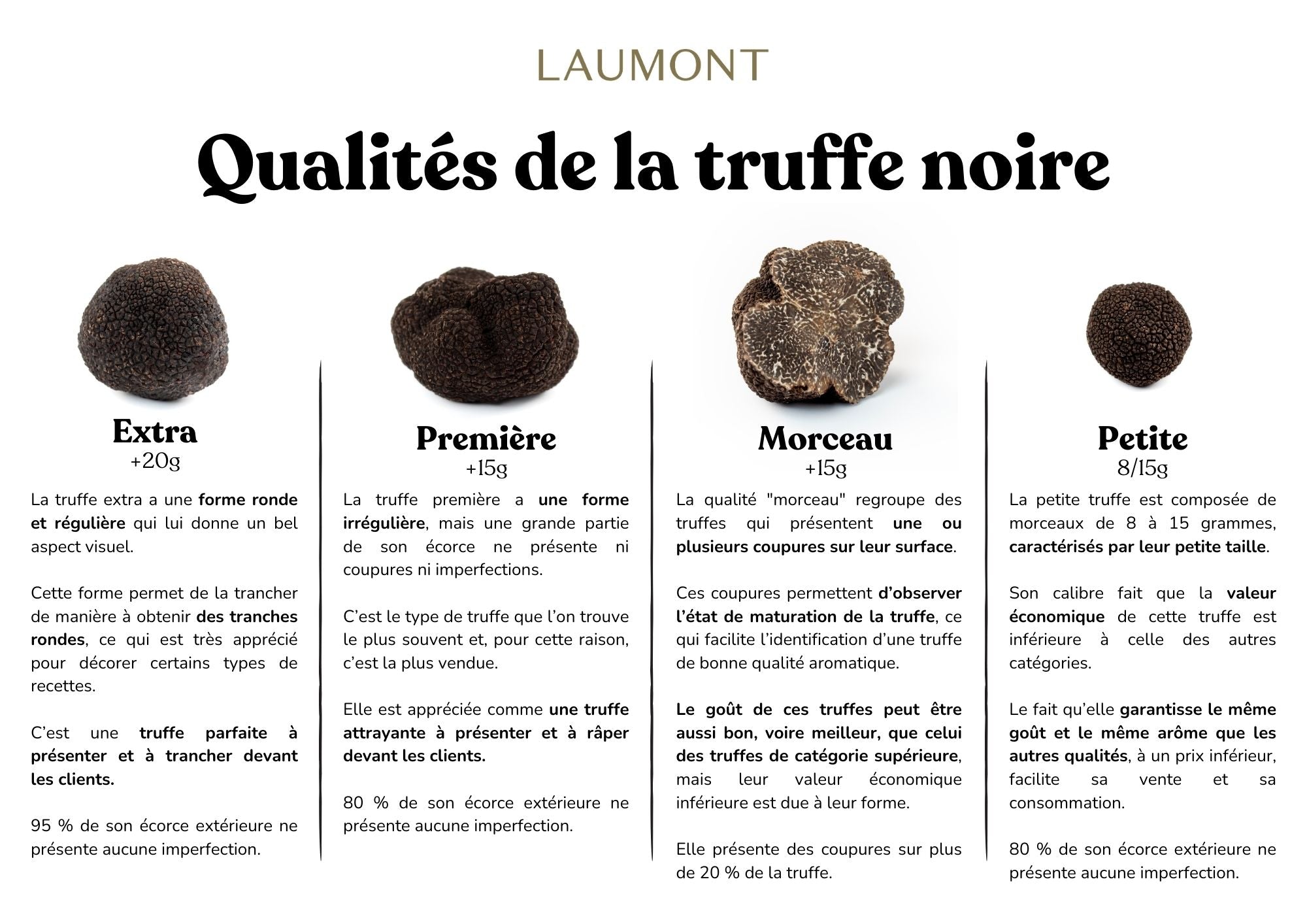 Laumont et les quatre qualités de truffe noire