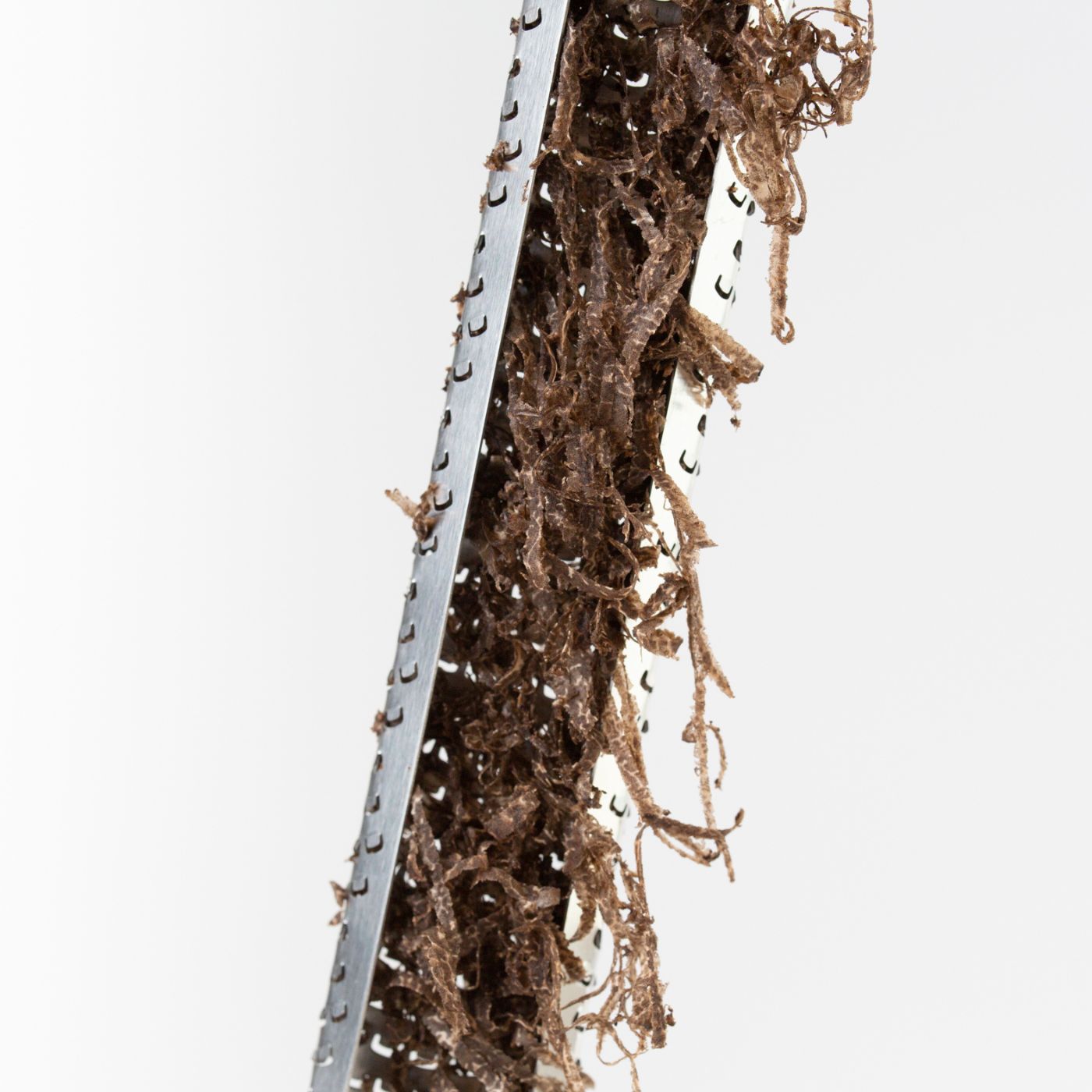 Râpe à truffes (Zester Microplane)