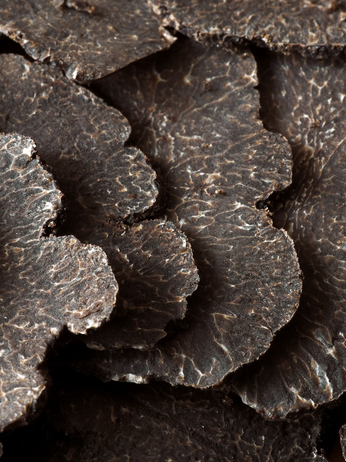 Mandoline à truffes en inox