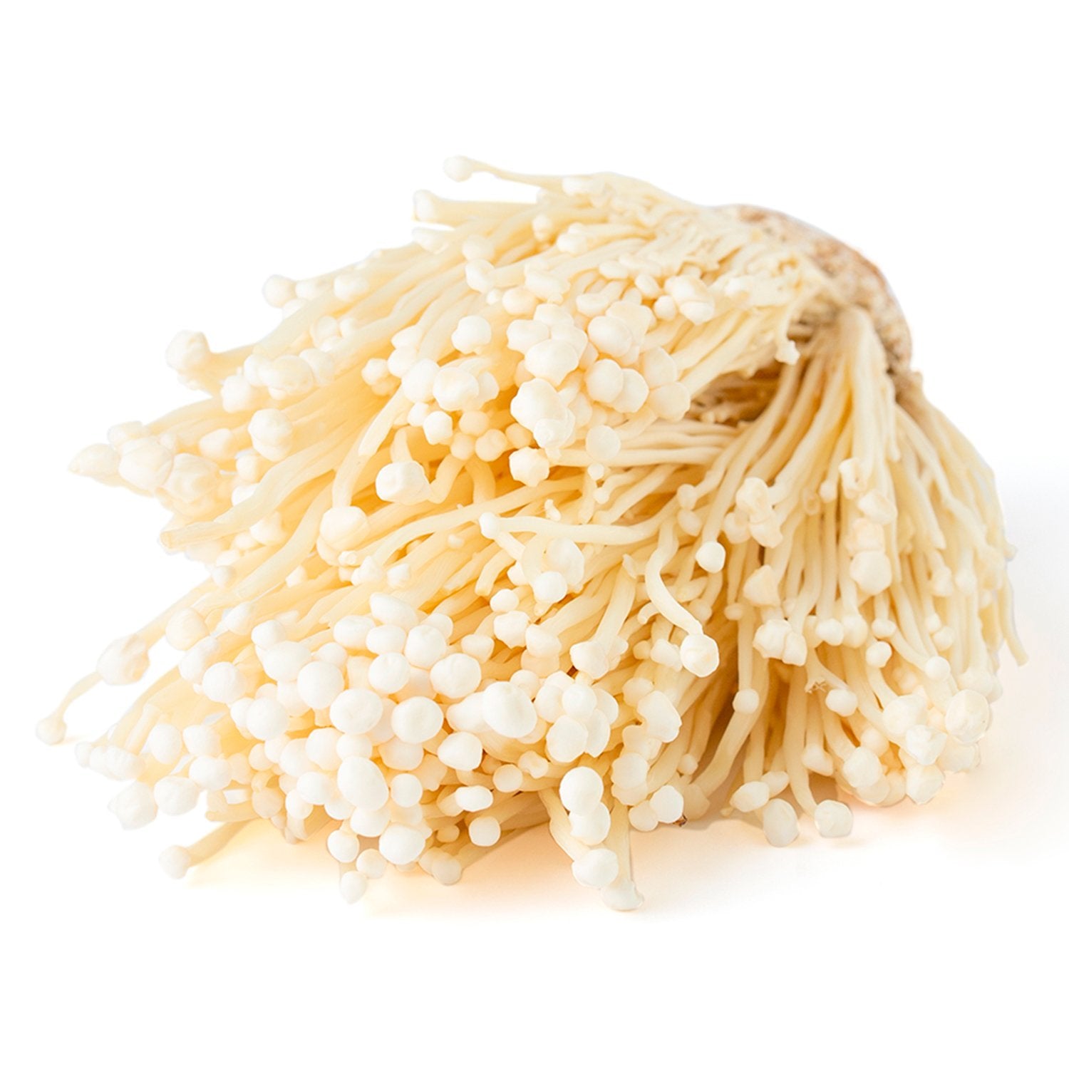 Enoki