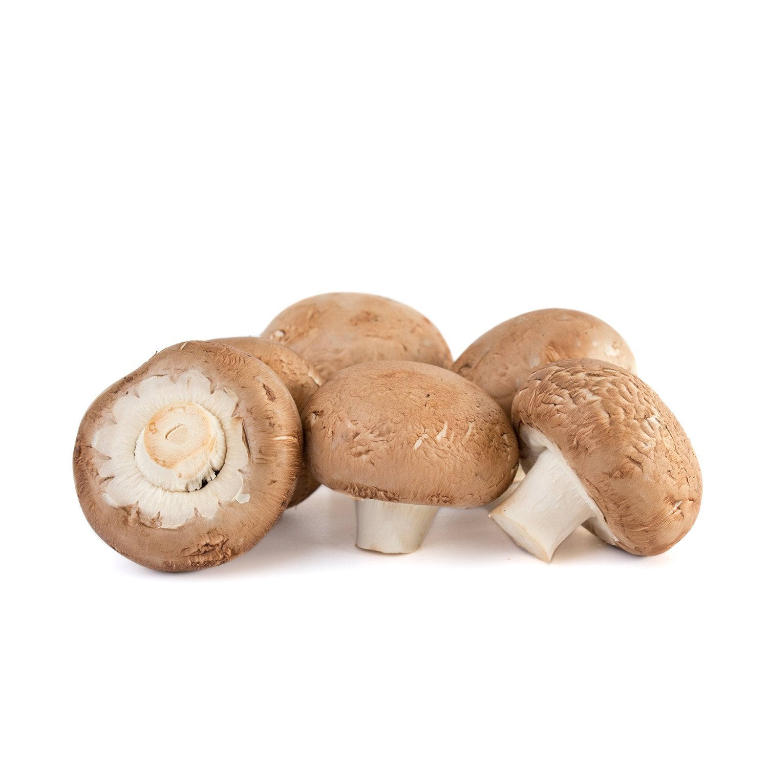 Champiñón portobello