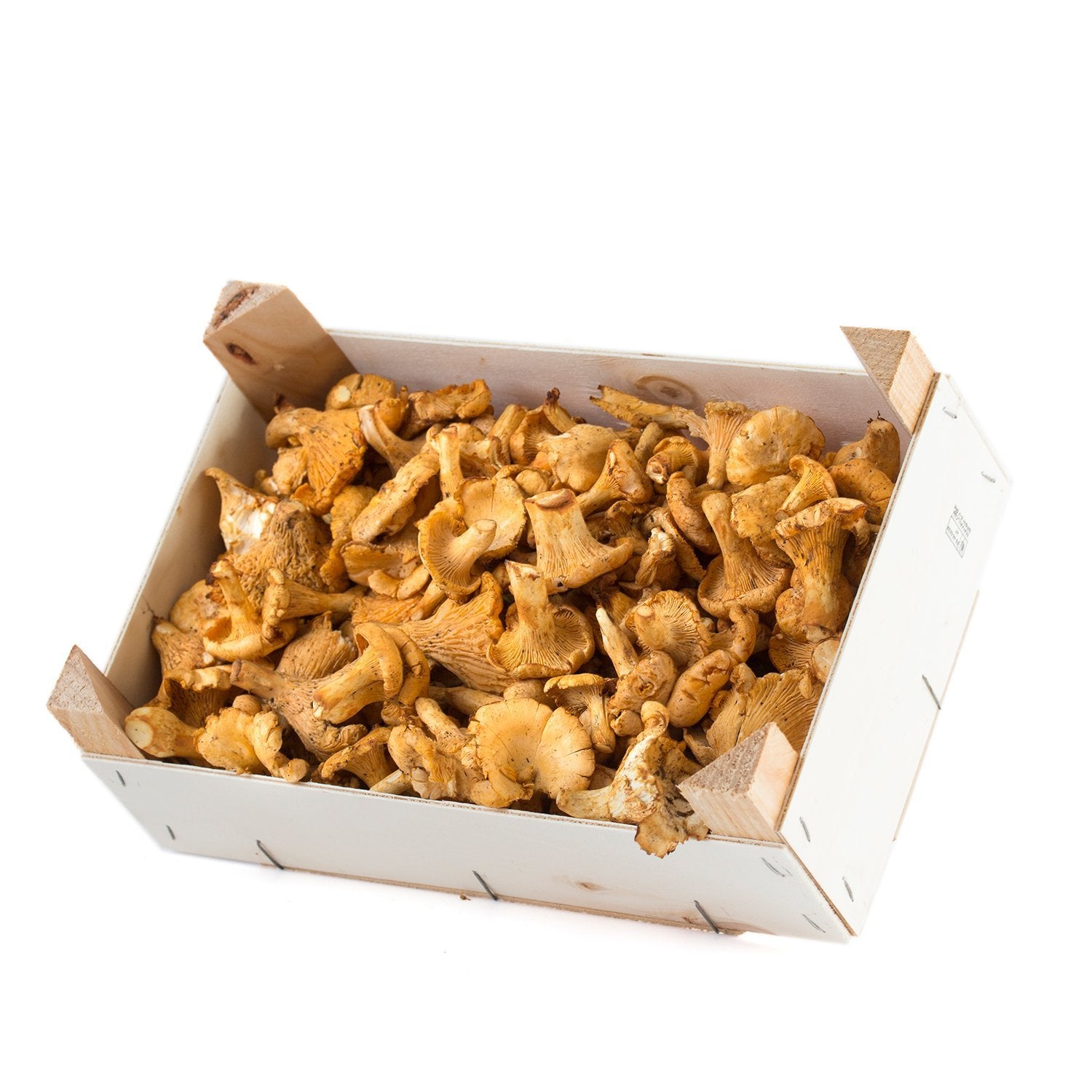 Girolle - Chanterelle (Cantharellus cibarius)
