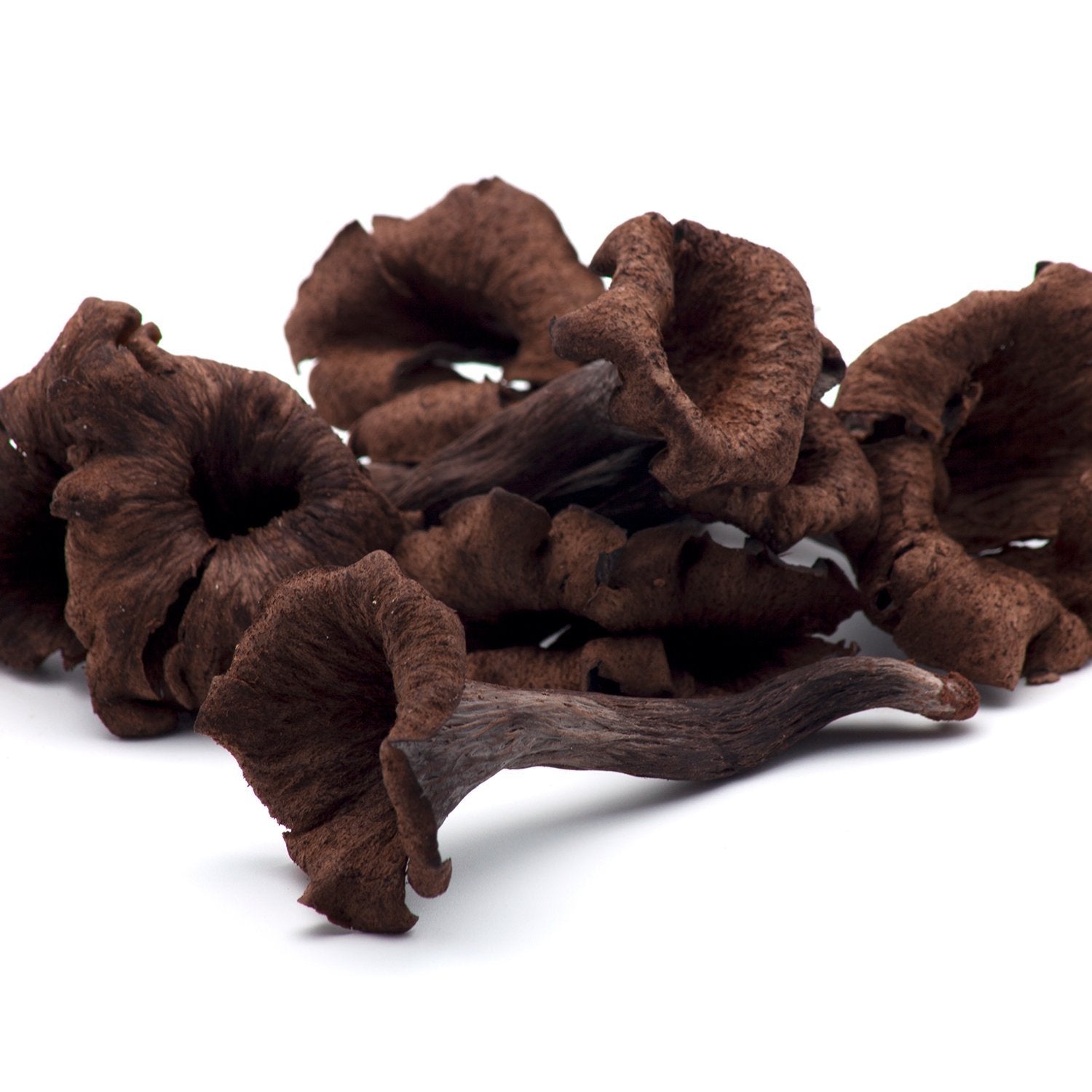 Trompette des morts (Craterellus cornucopioides)