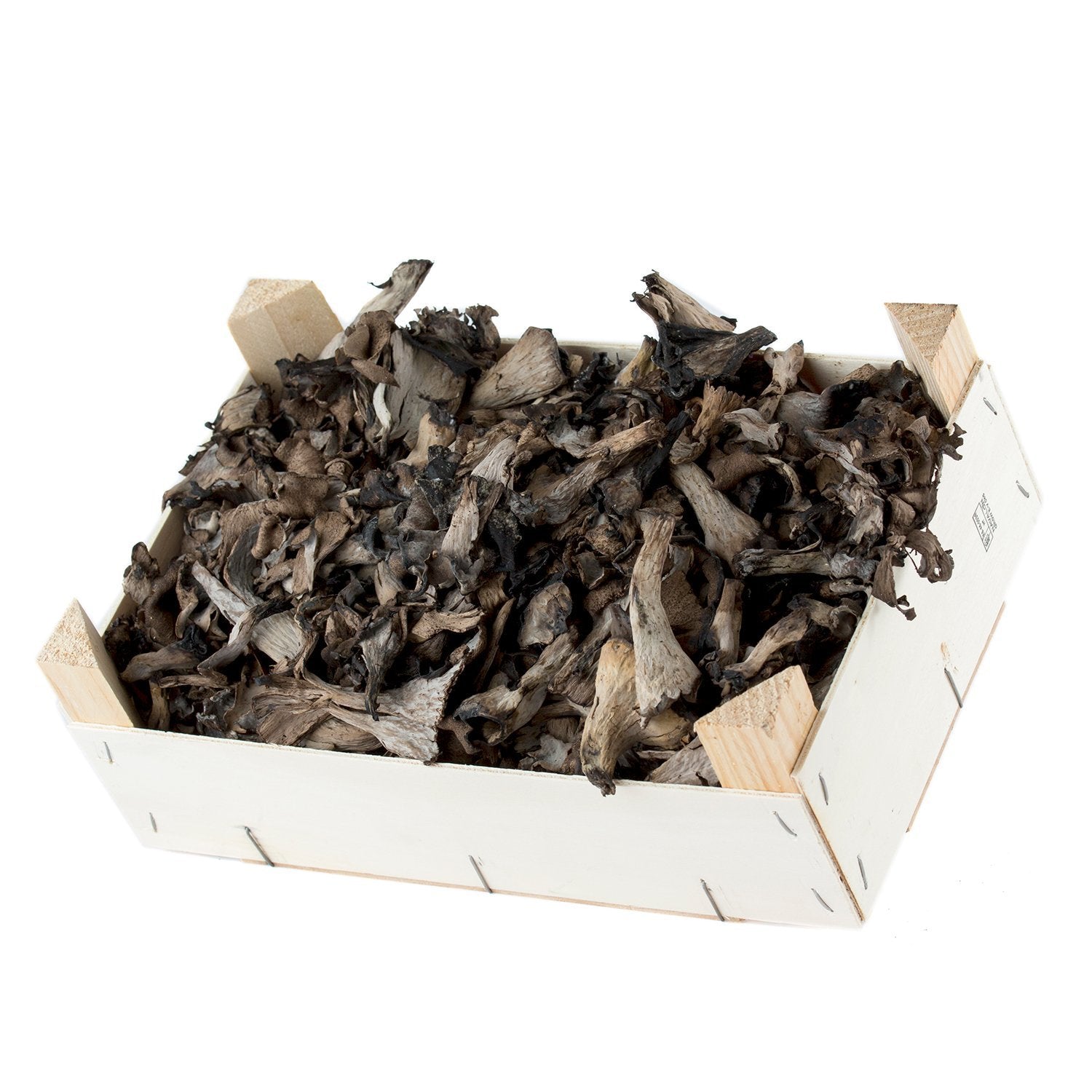 Trompette des morts (Craterellus cornucopioides)