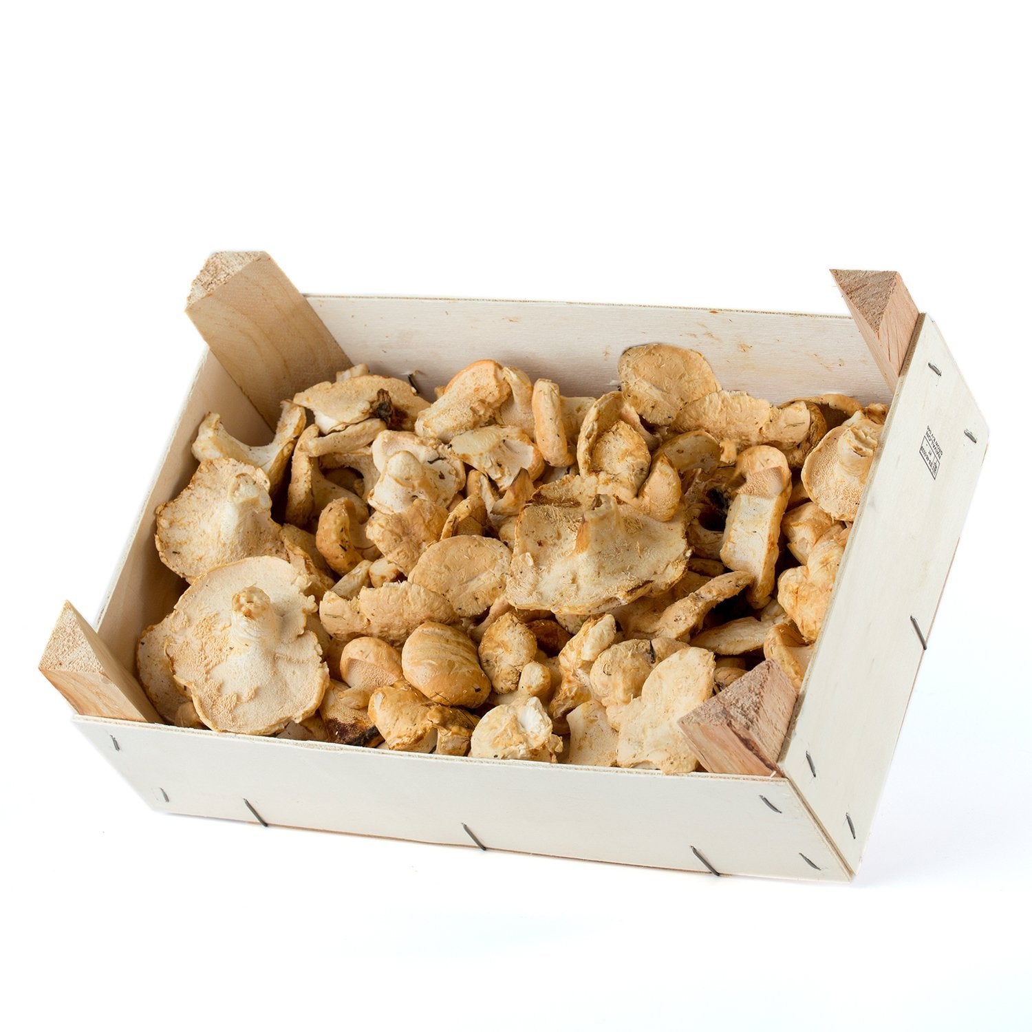 Pied de mouton (Hyndum repandum)