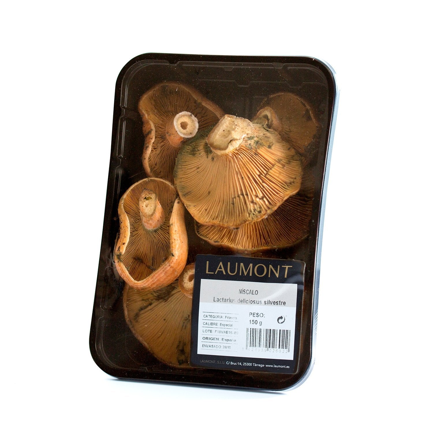 Lactaire délicieux (Lactarius deliciosus) pour supermarché 150g