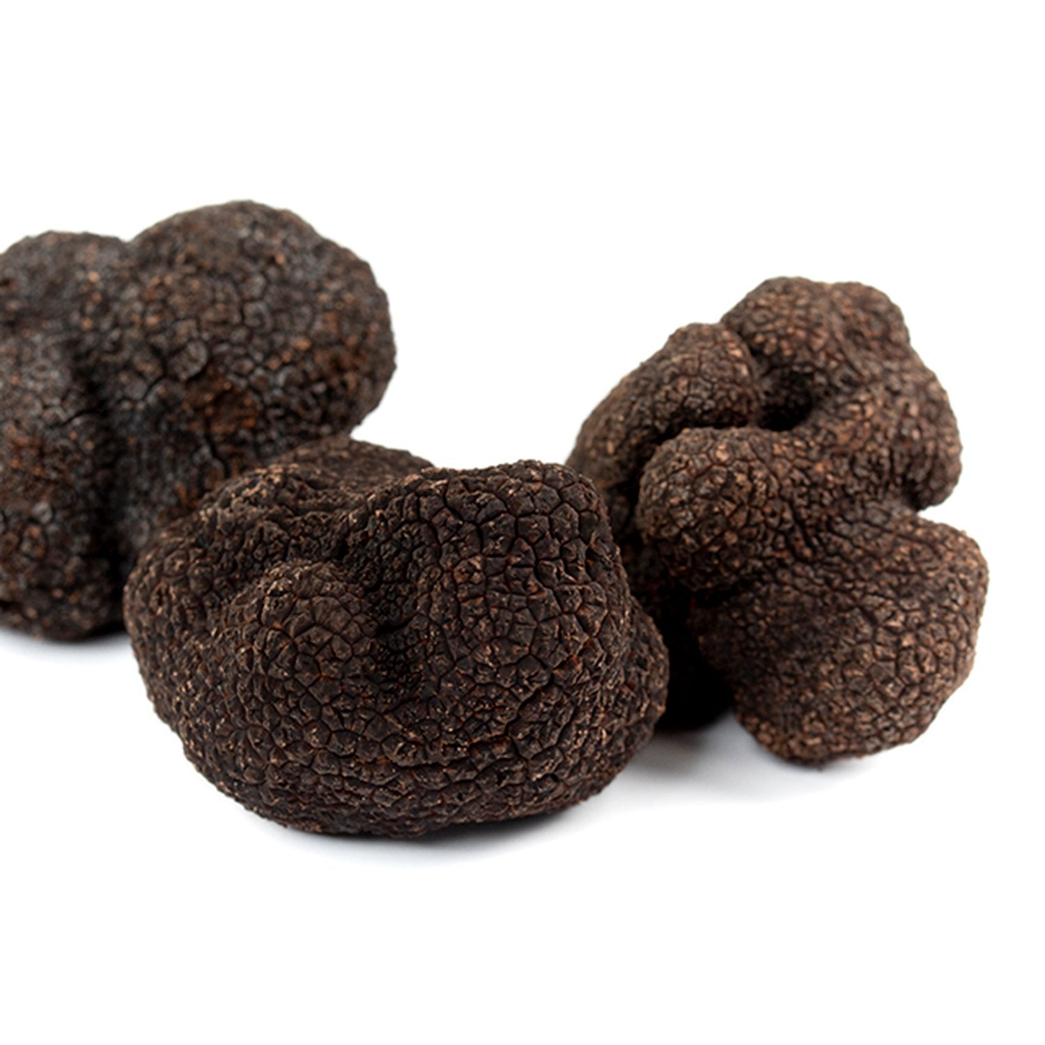 Truffe Noire (Tuber Melanosporum)