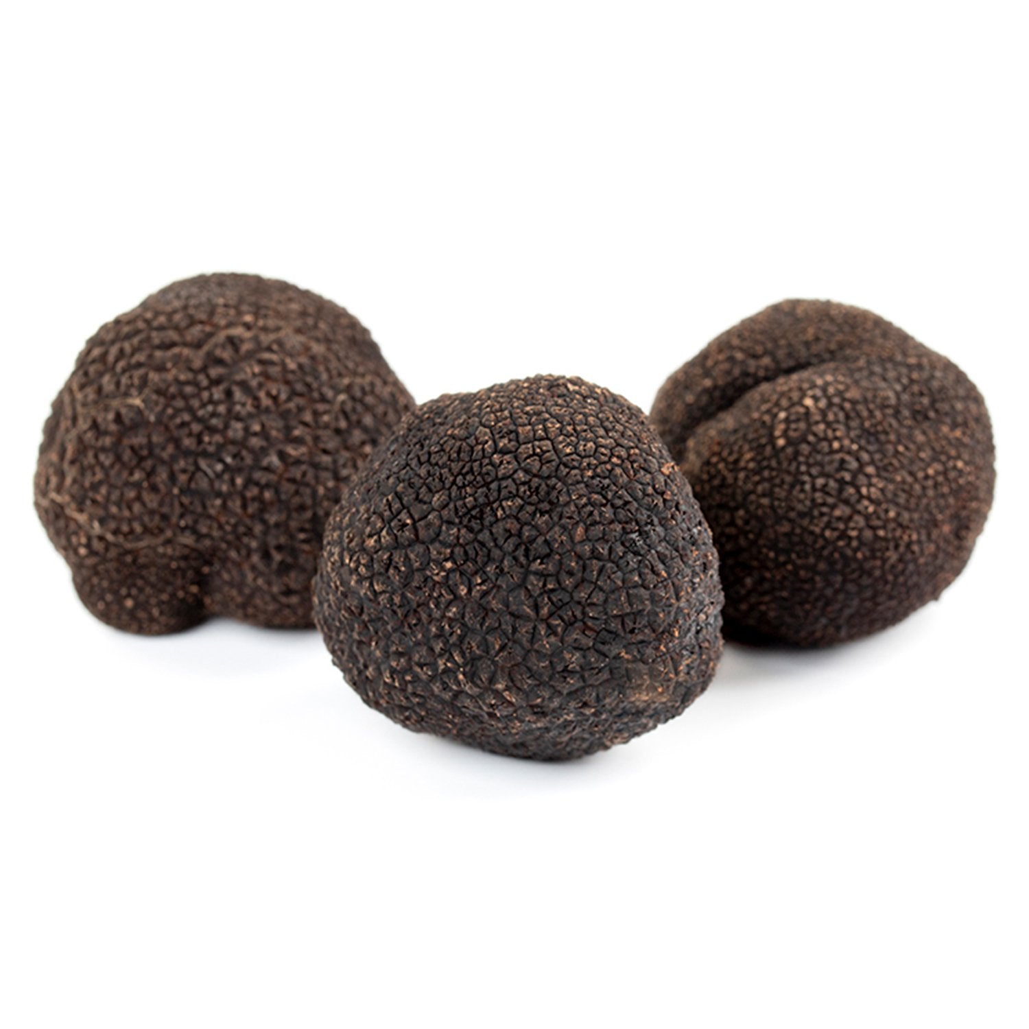 Truffe Noire (Tuber Melanosporum)