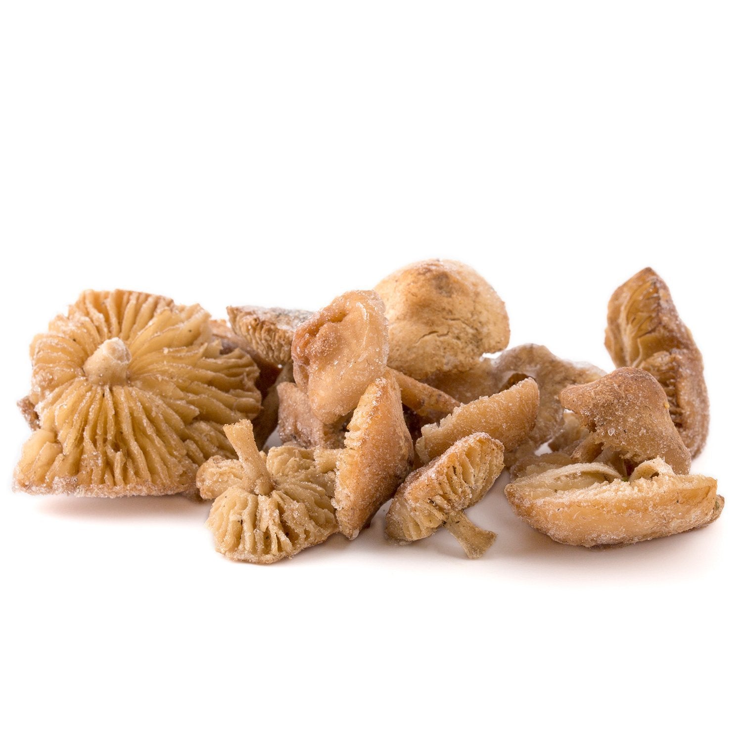 Marasme des Oréades surgelés