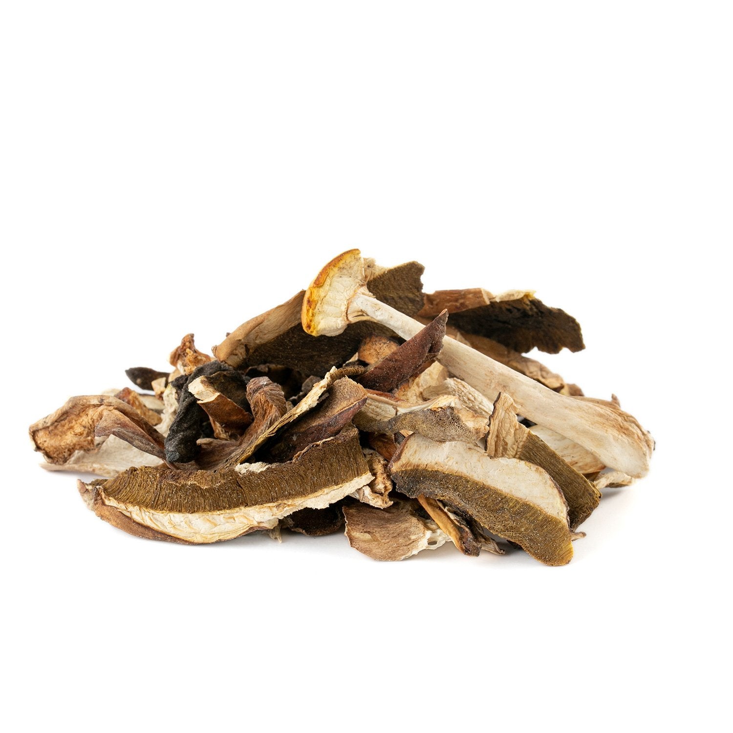 Cèpes séchées