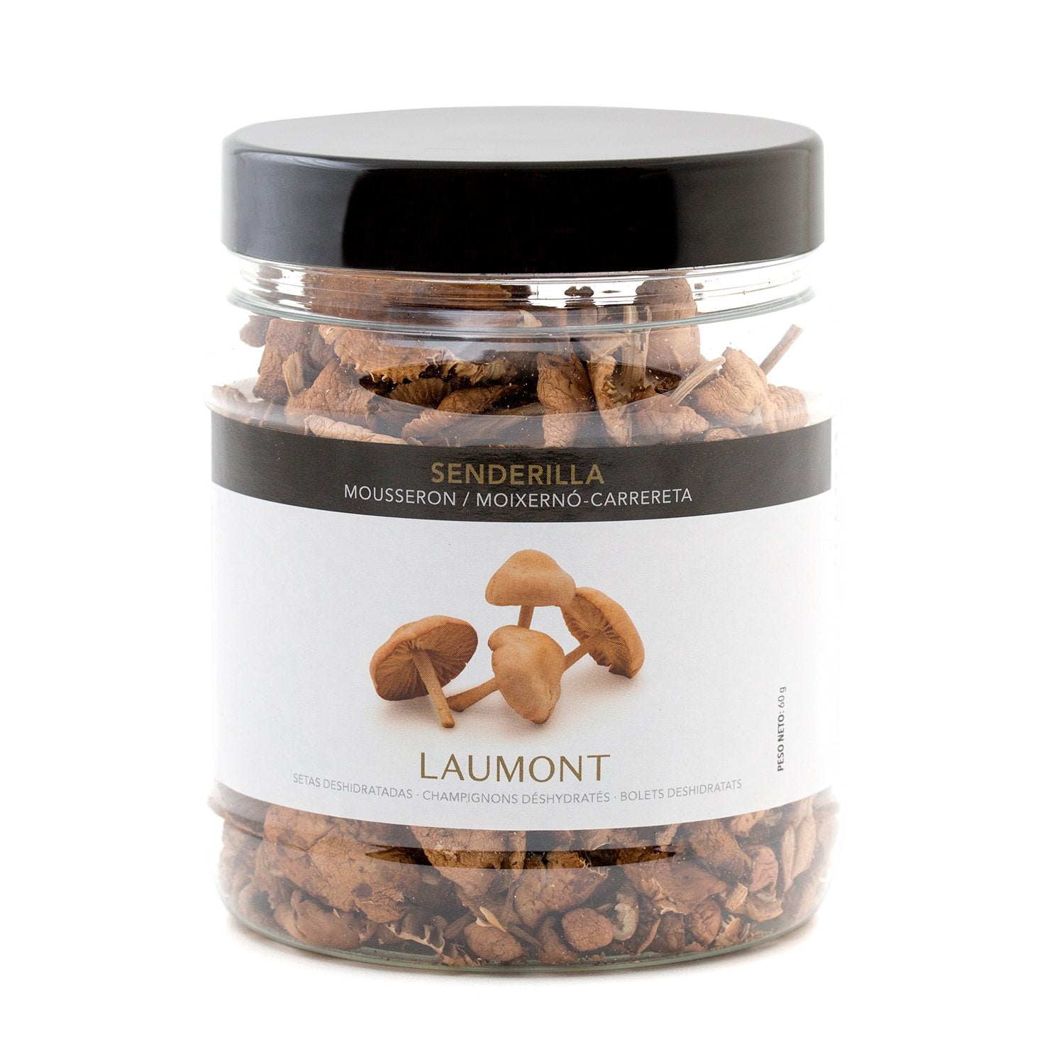 Marasme des oréades séchée