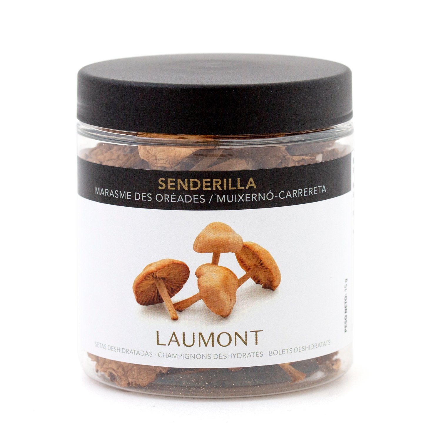 Marasme des oréades séchée