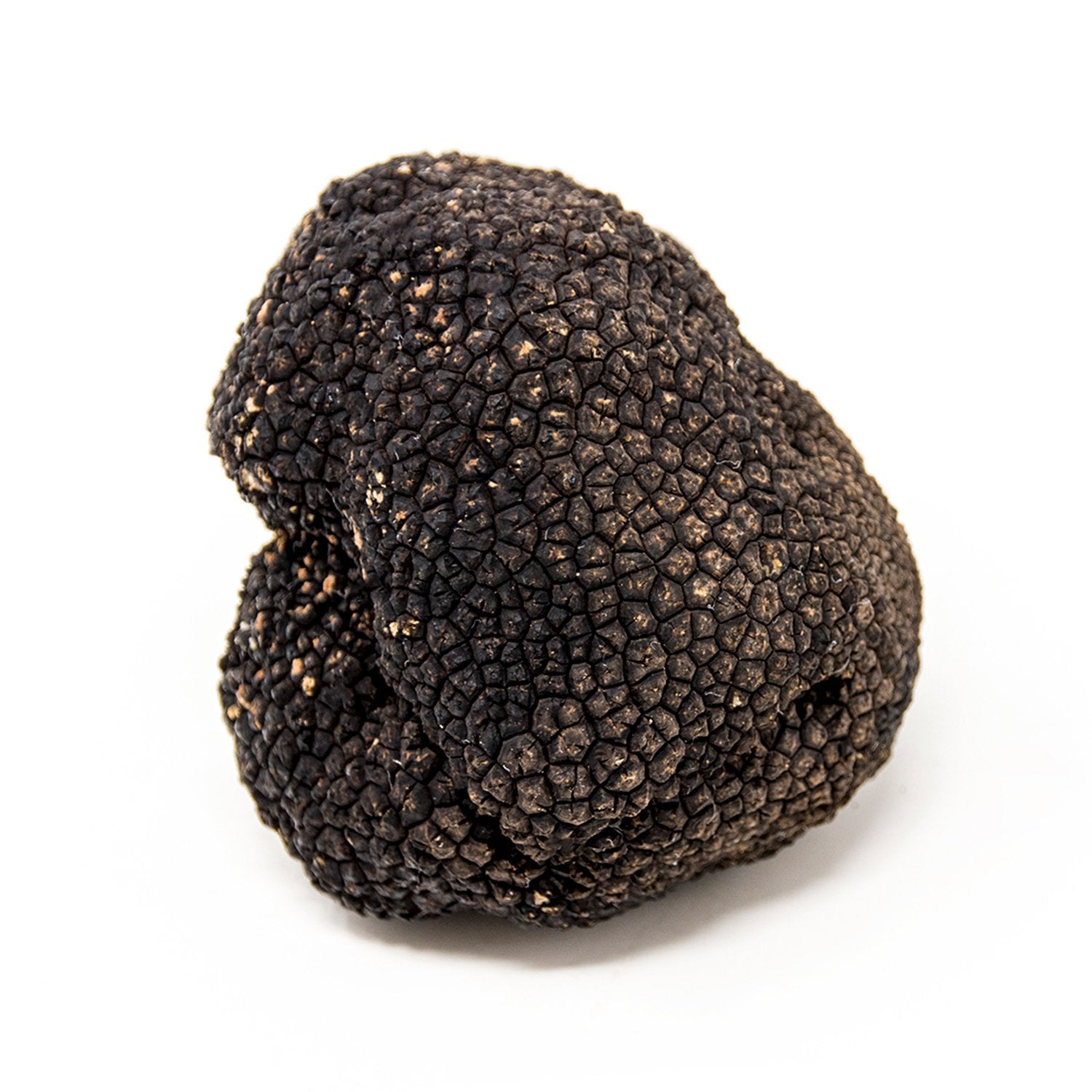 Truffe d'été (Tuber Aestivum)