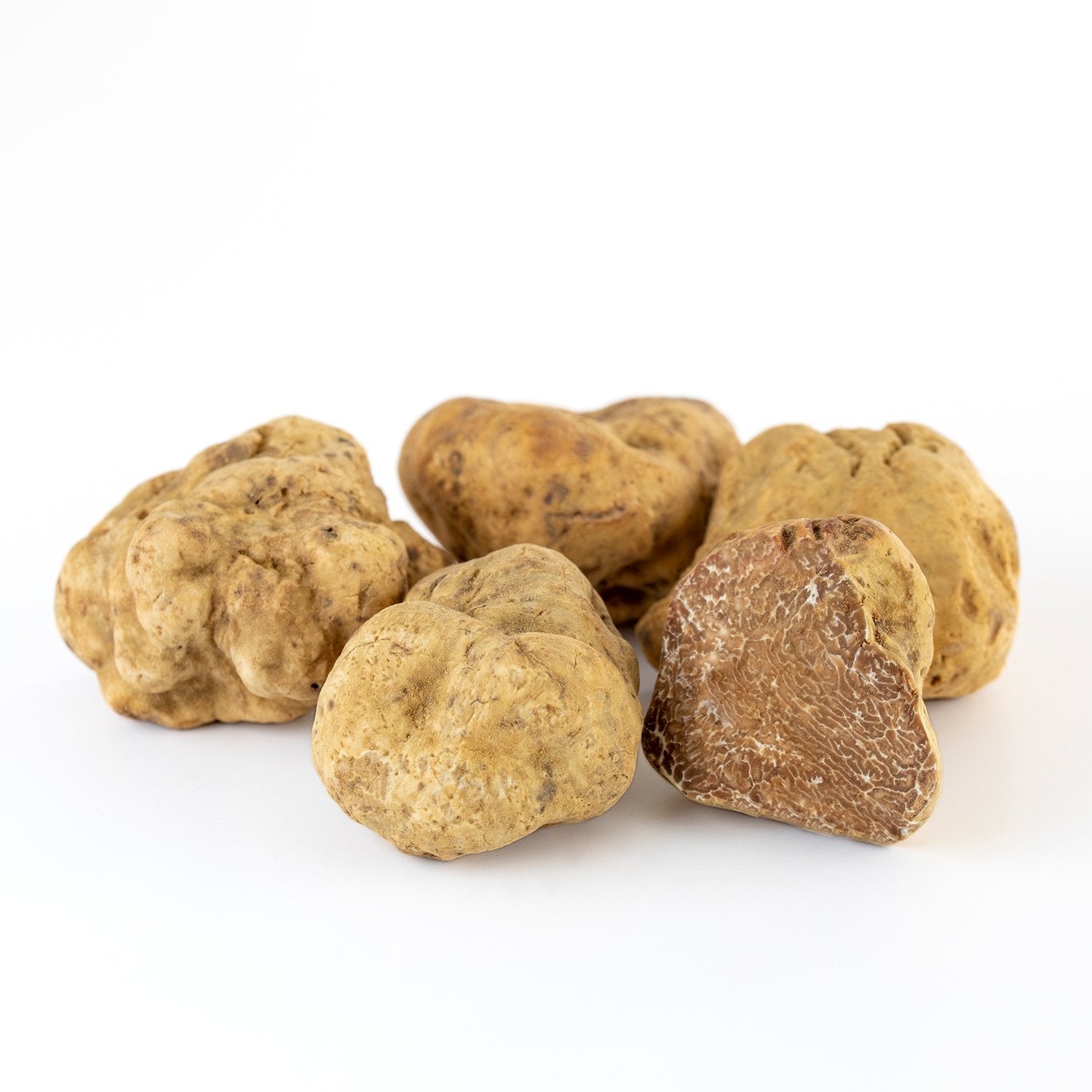 Truffe Blanche (Tuber Magnatum)