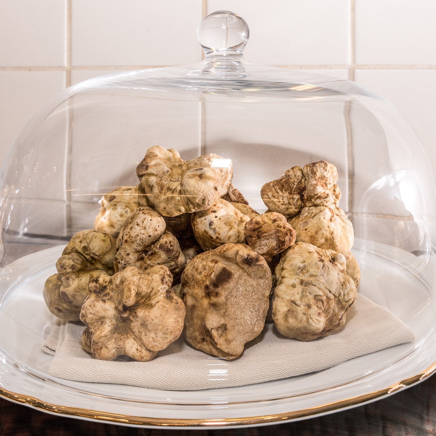 Truffe Blanche (Tuber Magnatum)
