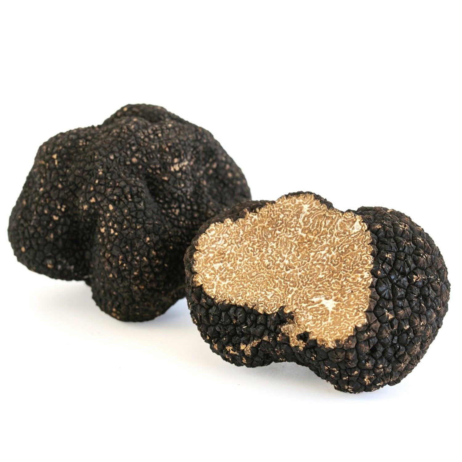 Truffe d'Automne (Tuber Uncinatum)