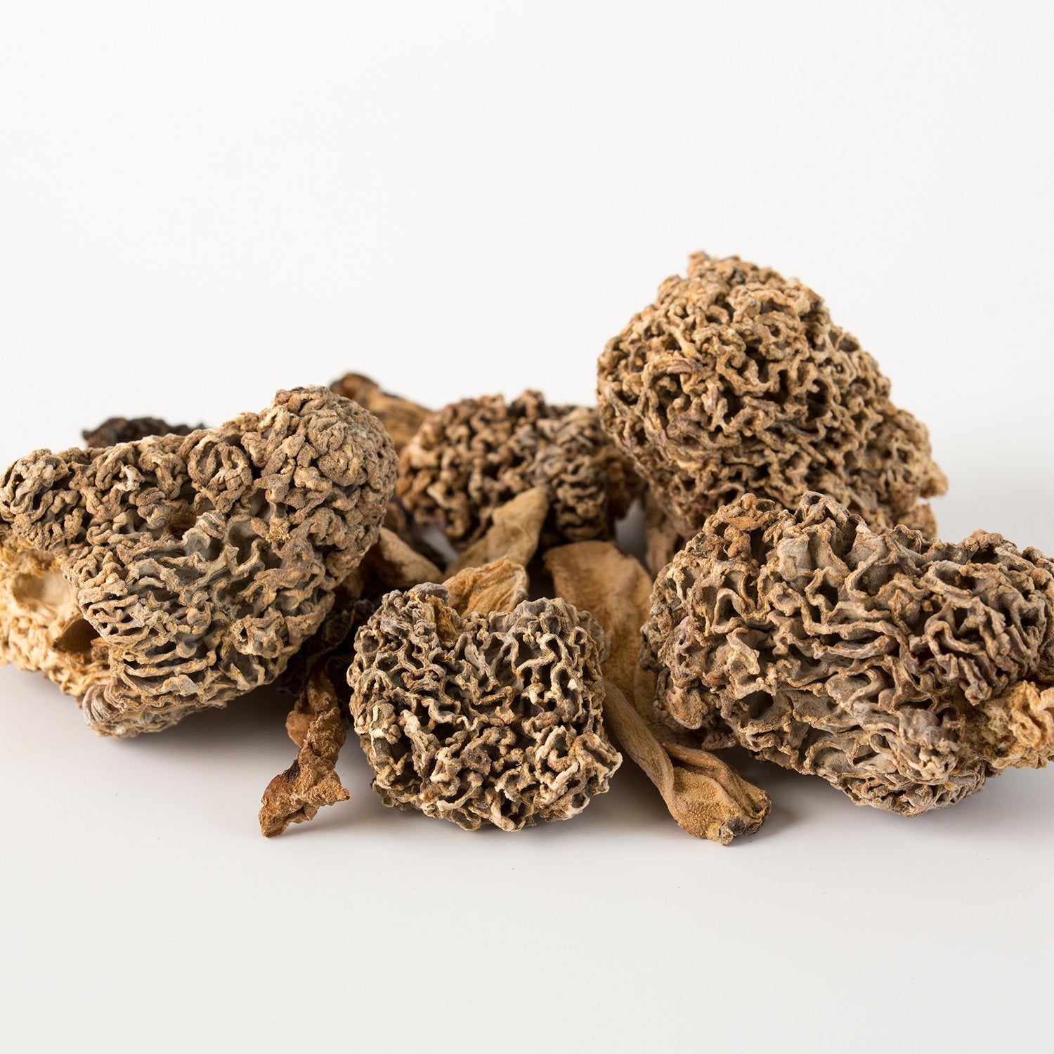 Morilles séchées