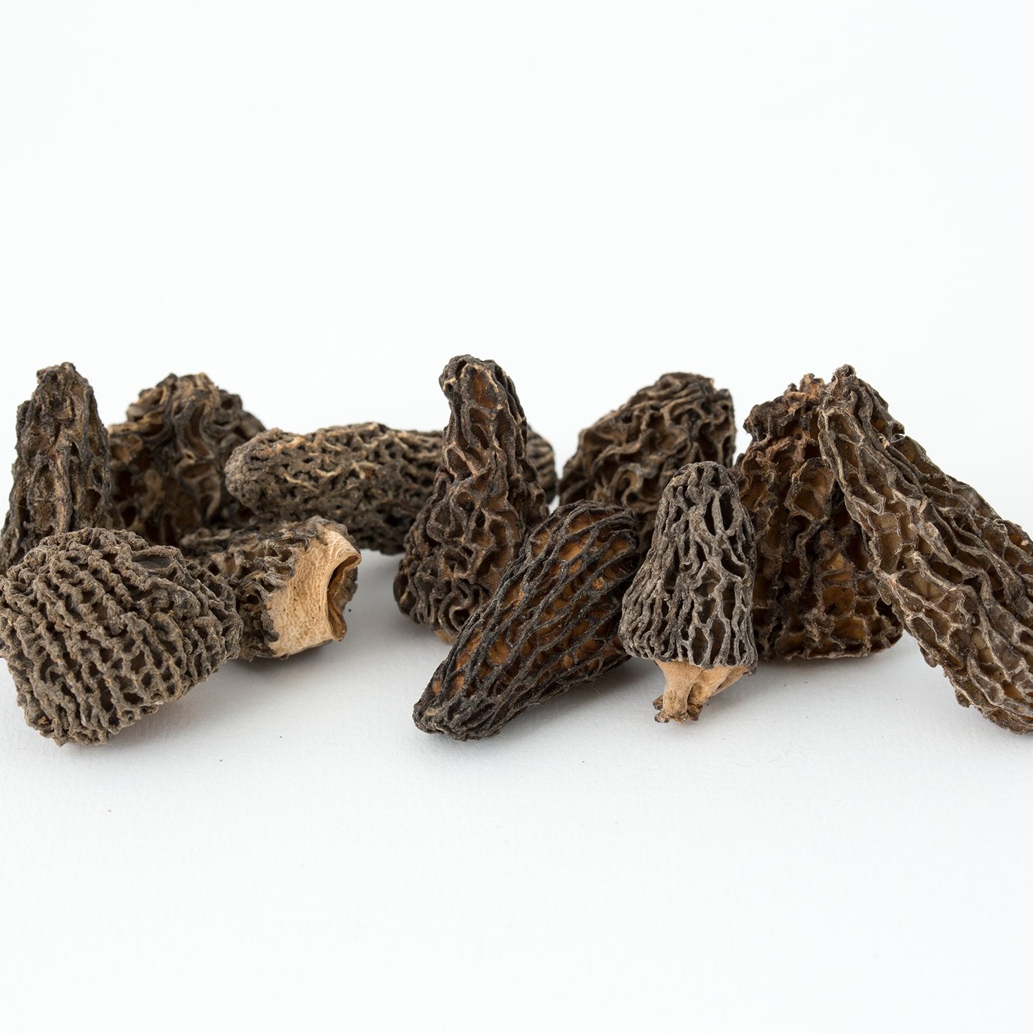 Morilles séchées