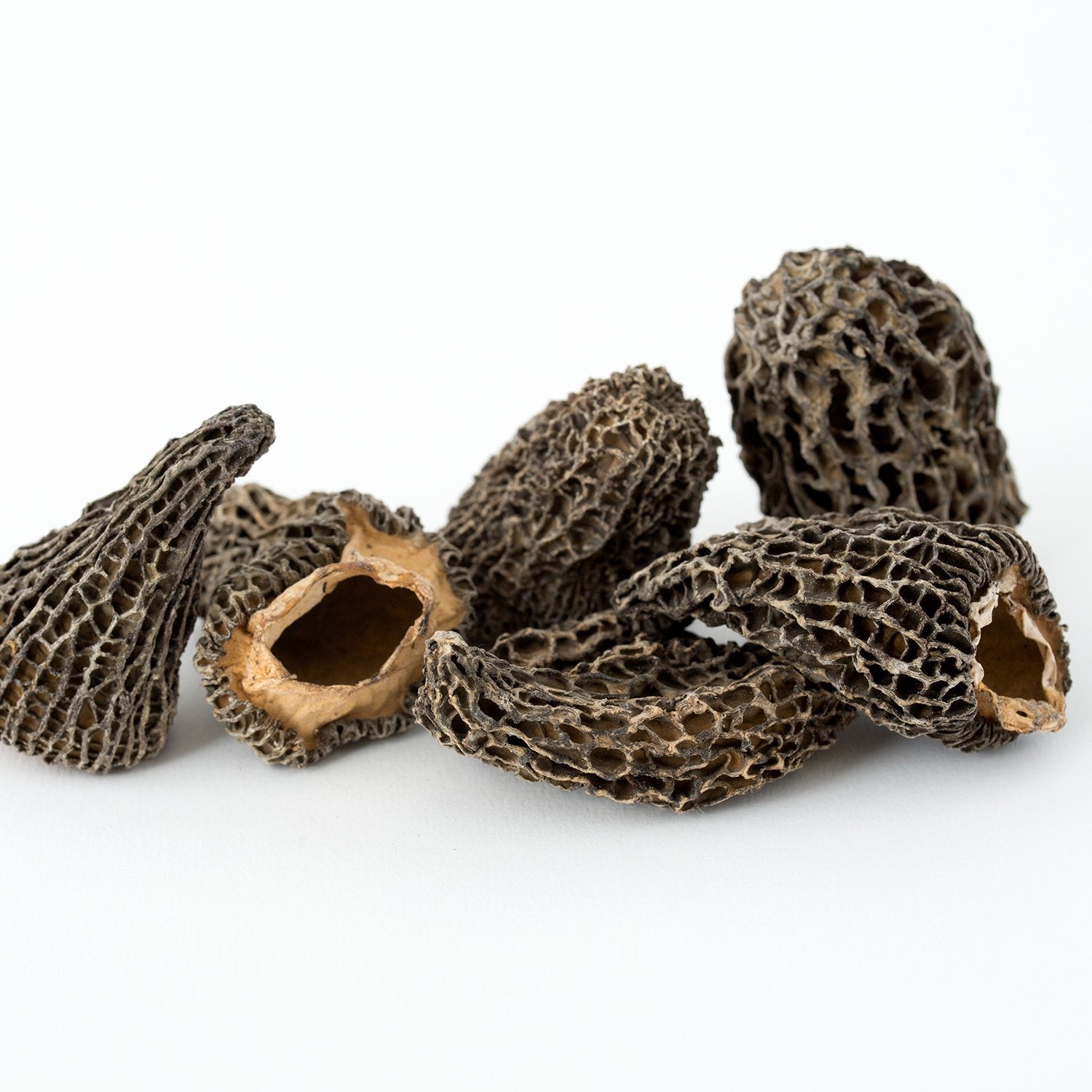 Morilles séchées