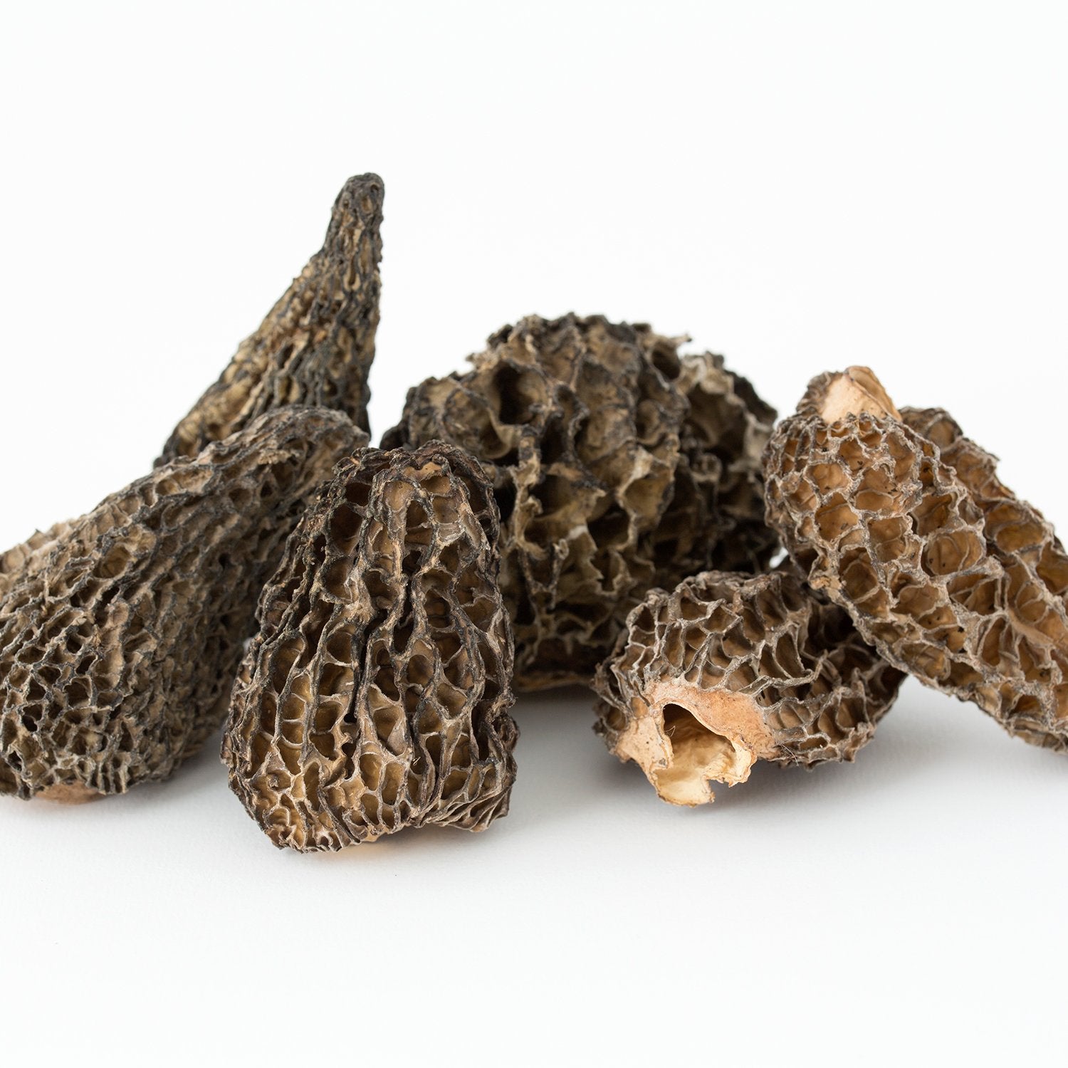 Morilles séchées