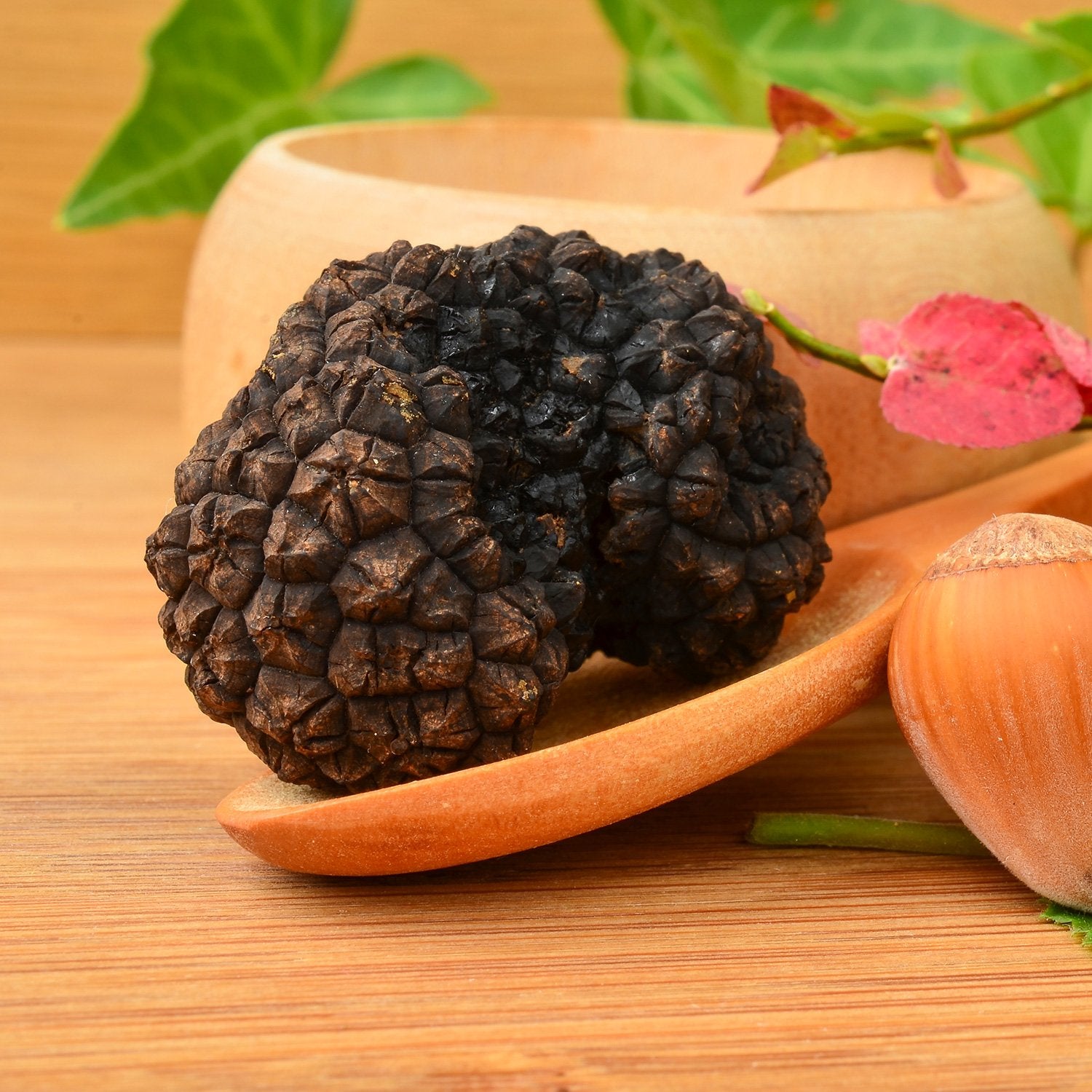 Truffe d'Automne (Tuber Uncinatum)