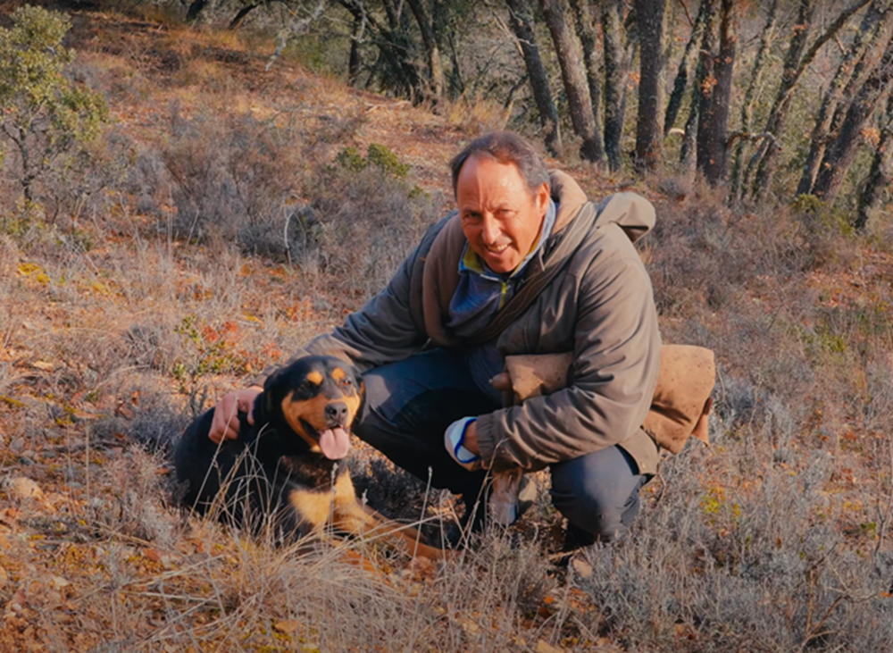 À la recherche de truffes sauvages avec Alberto Pascual, cueilleur Laumont fort de plus de 30 ans de confiance