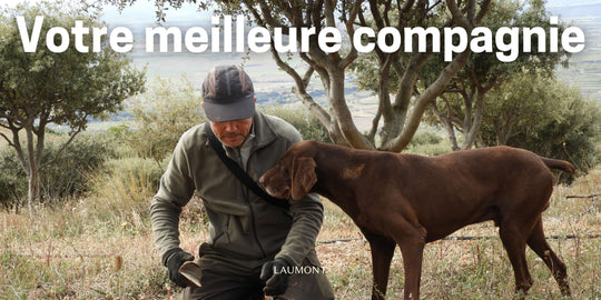 Laumont rend hommage aux chiens guides et aux chiens truffiers