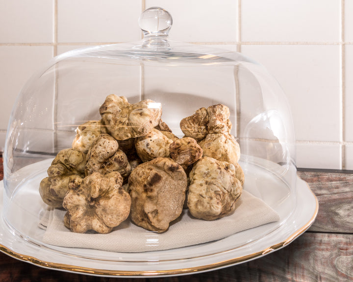 Les caractéristiques uniques et exclusives de la truffe blanche, véritable trésor européen