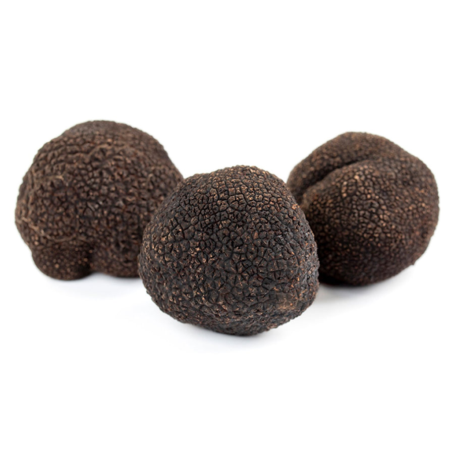 acheter truffes noires. truffe fraiche. melanosporum. paris