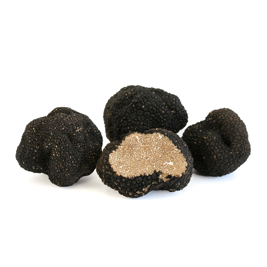 Truffe d'Automne (Tuber Uncinatum)